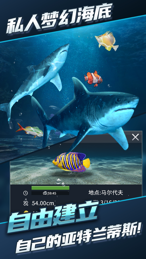 截图 2