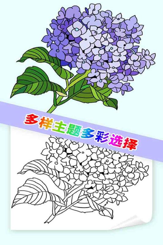 截图 5