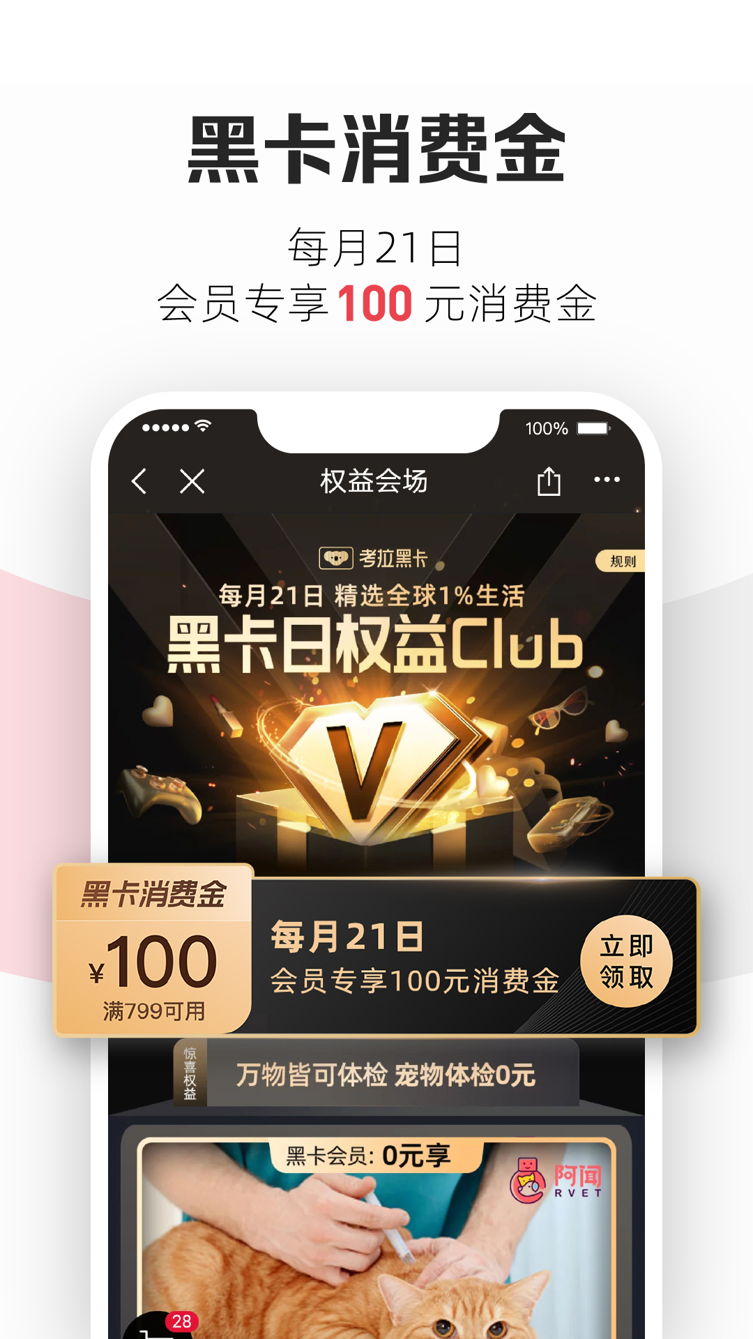 截图 4