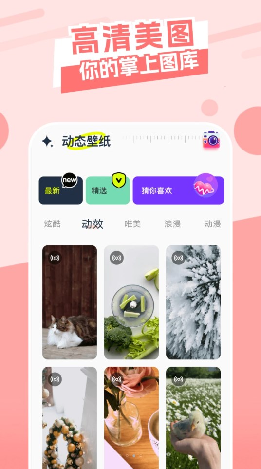 截图 3
