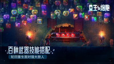 截图 4