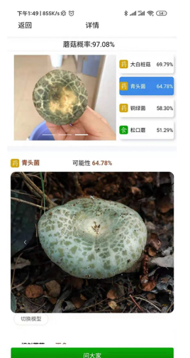菌窝子(识别蘑菇)